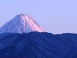 Washington Plaza 3* Kofu (Yamanashi)